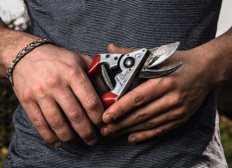 Felco F8 Pruning Shears â€“ 8.3" Swiss-Made Garden Clippers with 1" Cutting Capacity for Ergonomic Comfort | Hand Pruners for Gardening | Garden Tool Cutter with Precision Bypass Blade, Aluminum Handles - Image 2